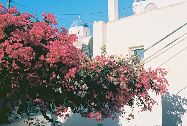 Greece Travel Diaries